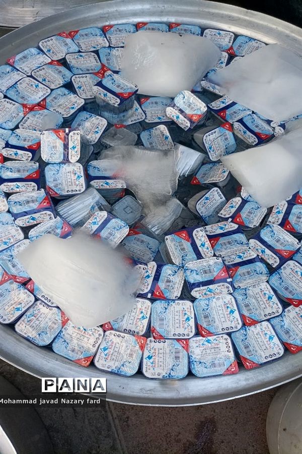 برگزاری موکب عزاداری در مشهد