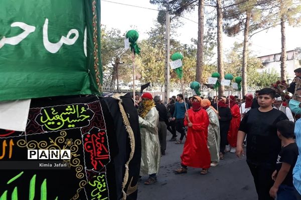 حرکت دسته عزاداری بنی اسد در شهرستان کاشمر