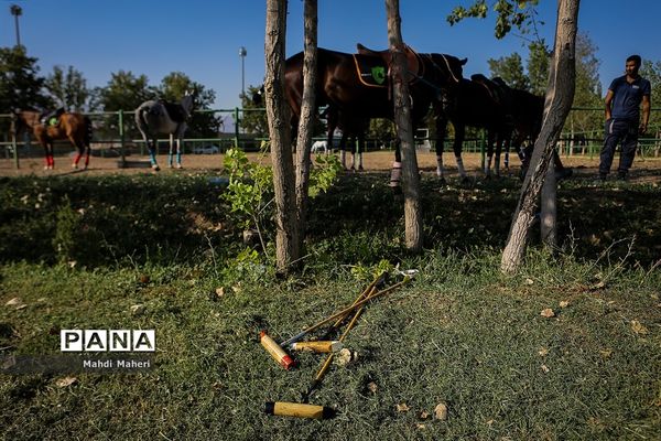 مسابقه چوگان آقایان جام مالکین