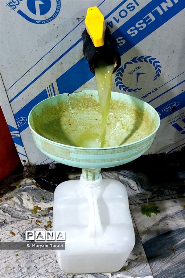 آبغوره‌گیری در شیراز