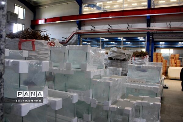 بازدید استاندار تهران از شرکت ماهیران در احمدآباد مستوفی