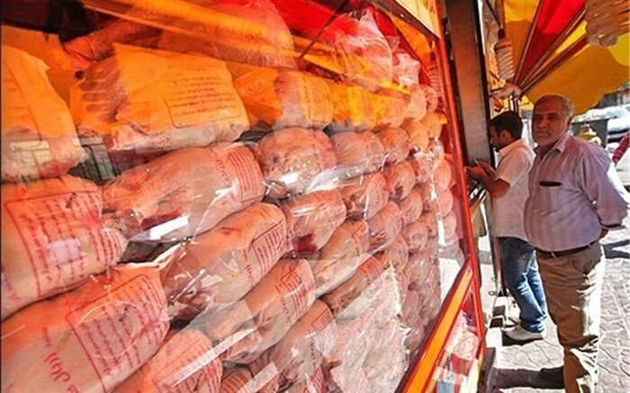 ۱۶۸هزار تن گوشت انواع طیور در تیرماه عرضه شد