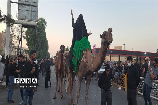«کاروان اسرا» هیات دخیل العباس در قم-1