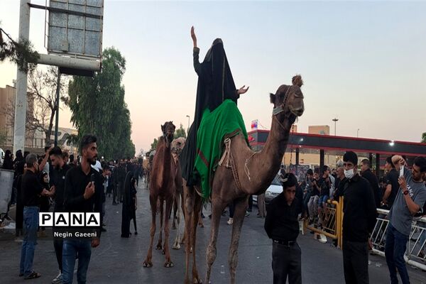 «کاروان اسرا» هیات دخیل العباس در قم-1
