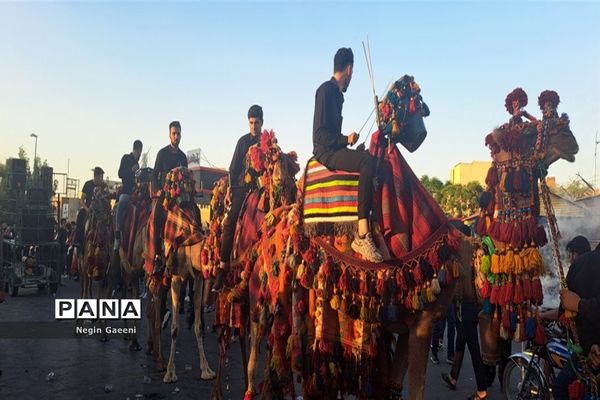 «کاروان اسرا» هیات دخیل العباس در قم-1