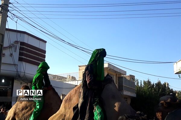 کاروان نمادین «اسرای کربلا» در قم-3