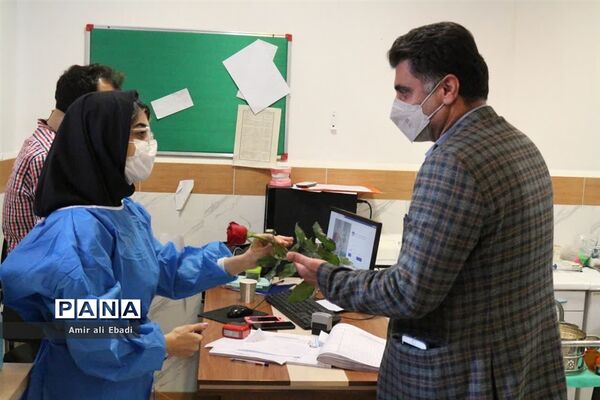 تجلیل از پزشکان توسط فرماندار شهرستان میاندورود