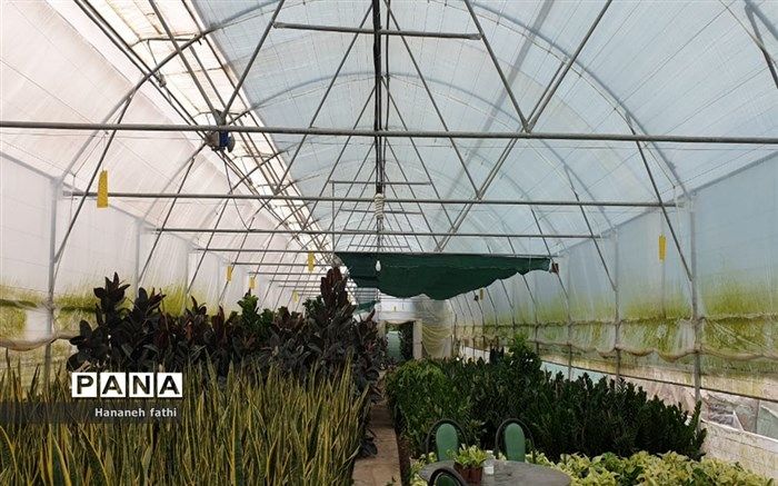 اشتغال 80 نفر در گلخانه‌های اهر