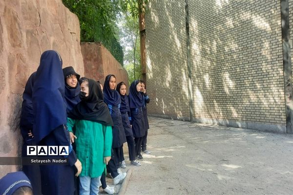 برگزاری اردوی تربیتی مثبت هشتادی‌ها با حضور دانش‌آموزان قرچک