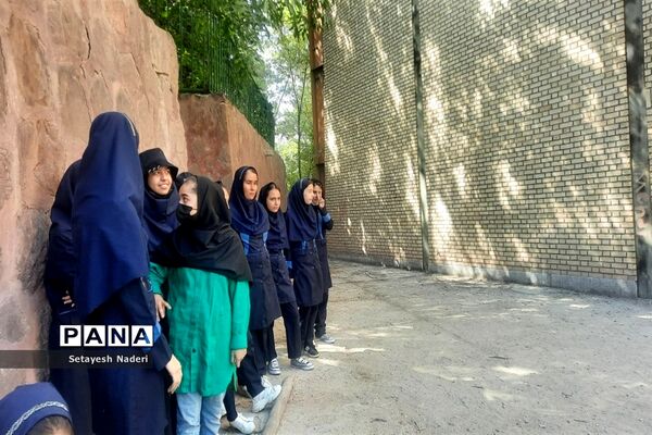 برگزاری اردوی تربیتی مثبت هشتادی‌ها با حضور دانش‌آموزان قرچک