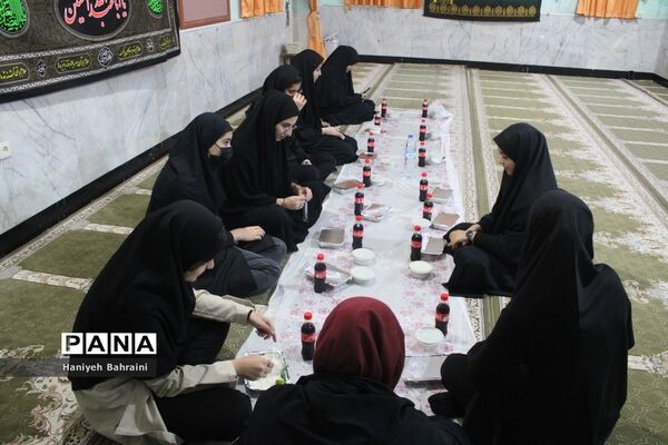 اعزام دانش‌آموزان پیشتاز دختر استان بوشهر به اردوی قطبی