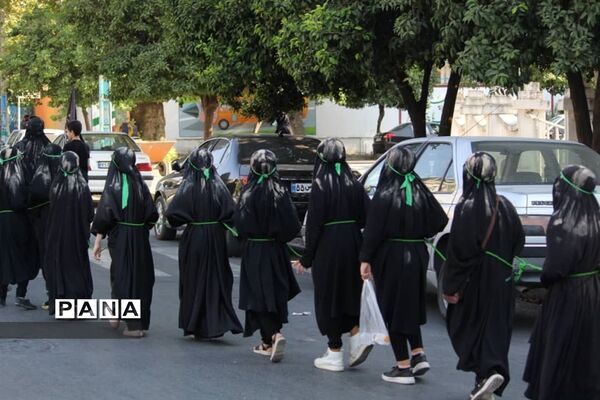 پیاده‌روی بزرگ هیات استقامت زینبی شهرستان بابل