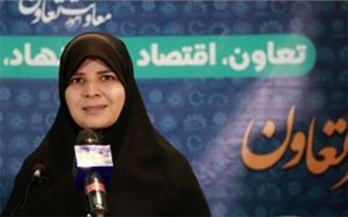 اشتغال زنان با محوریت الگوی تعاون در مجلس پیگیری می‌شود