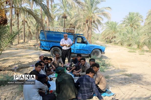برداشت خرما از نخلستان‌های آب پخش