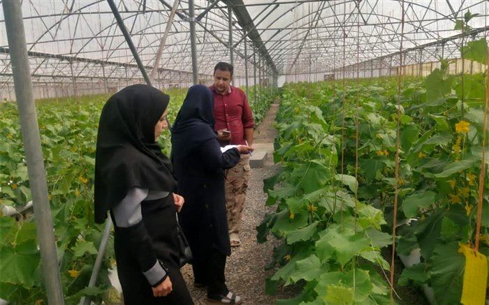 لزوم توجه به ارتقای بهره‌وری آب کشاورزی در تدوین برنامه هفتم توسعه