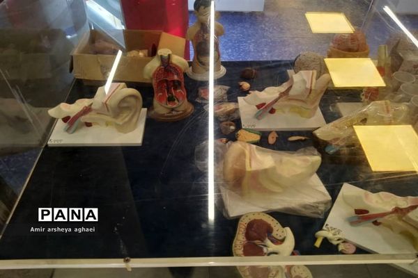 باغ کتاب تهران، بهشتی دوست‌داشتنی برای دوستداران علم و فرهنگ