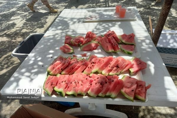 پذیرایی از زائران پاکستانی اربعین در مرز بین‌المللی ریمدان