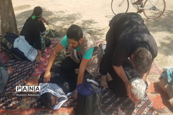 برپایی موکب‌های خدماتی کشورهای مختلف در مسیر نجف به کربلا