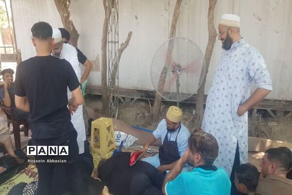 برپایی موکب‌های خدماتی کشورهای مختلف در مسیر نجف به کربلا