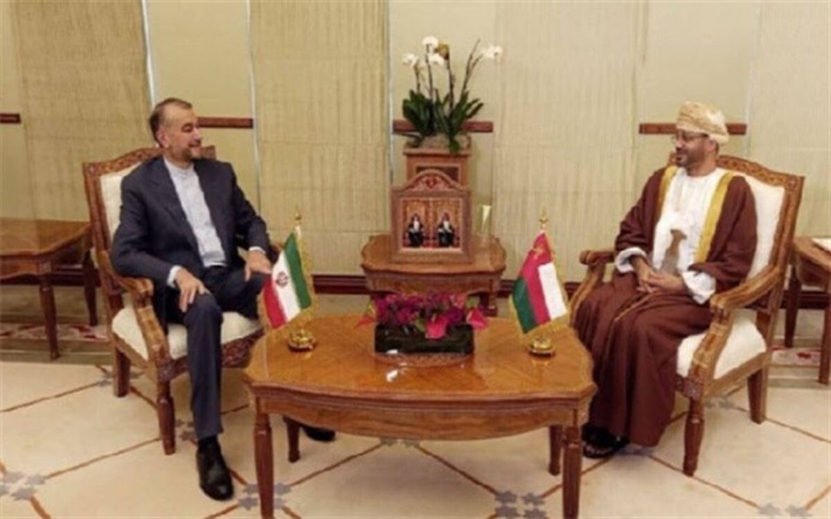 امیرعبداللهیان: صدور بیانیه غیرسازنده در نشست آژانس هیچ ثمری ندارد