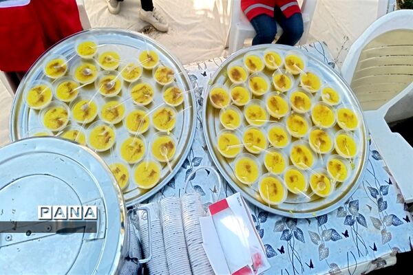 پیاده‌روی جاماندگان اربعین در شهرستان فریدن- استان اصفهان