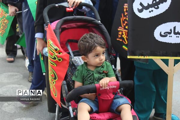 پیاده‌روی بزرگ اربعین در رکاب زینب شهرستان ساری