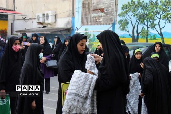 پیاده‌روی بزرگ اربعین در رکاب زینب شهرستان ساری