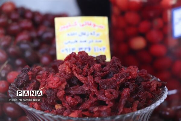 یاقوت ناب کلیبر از تولید تا فرآوری