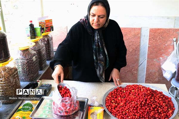 یاقوت ناب کلیبر از تولید تا فرآوری