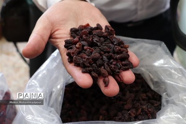 یاقوت ناب کلیبر از تولید تا فرآوری