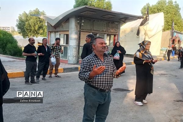 موکب حضرت رقیه(س) شهرستان ملارد در کربلا معلی