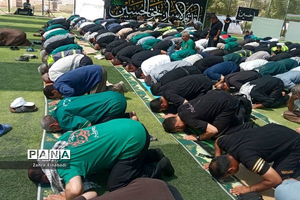 موکب حضرت رقیه(س) شهرستان ملارد در کربلا معلی