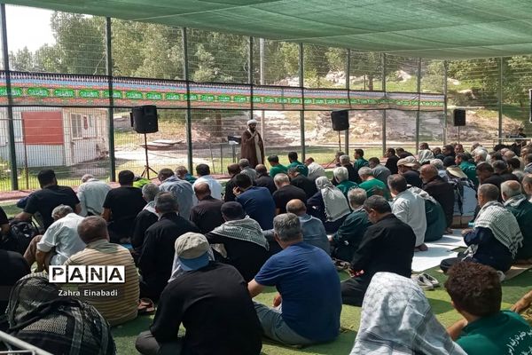 موکب حضرت رقیه(س) شهرستان ملارد در کربلا معلی