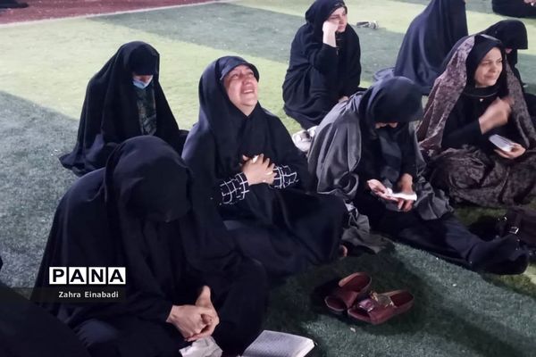 موکب حضرت رقیه(س) شهرستان ملارد در کربلا معلی