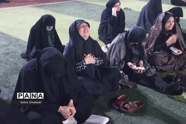 موکب حضرت رقیه(س) شهرستان ملارد در کربلا معلی
