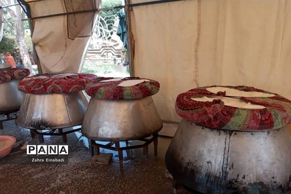 موکب حضرت رقیه(س) شهرستان ملارد در کربلا معلی