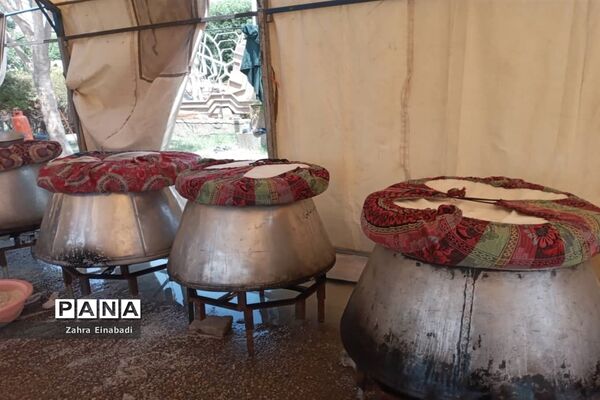 موکب حضرت رقیه(س) شهرستان ملارد در کربلا معلی