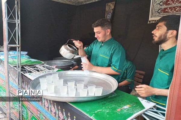 موکب حضرت رقیه(س) شهرستان ملارد در کربلا معلی