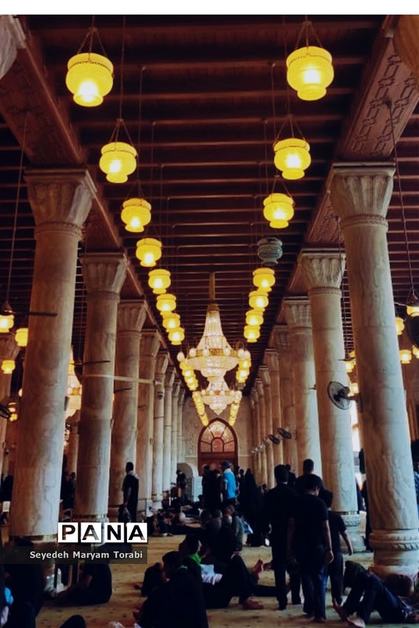 در مسیر بهشت، از مرز تا نجف