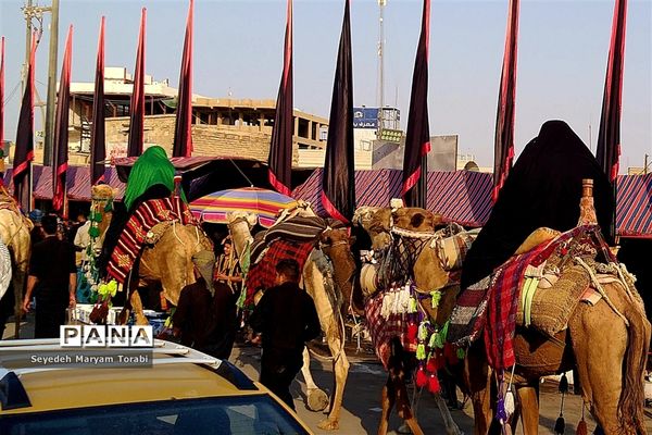 در مسیر بهشت، از مرز تا نجف