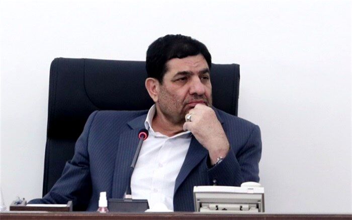 برنامه دولت برای ثبت روز زیارت امام رضا(ع) به عنوان روز ملی زیارت