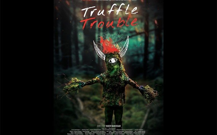 راه‌یابی «یه‌چوم یه‌لنگ» به بخش رقابتی جشنواره فیلم کوتاه تهران