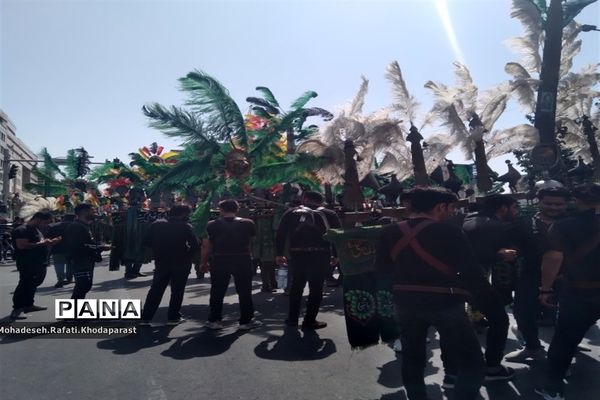 عزاداری در ساحت مقدس امام رضا(ع)