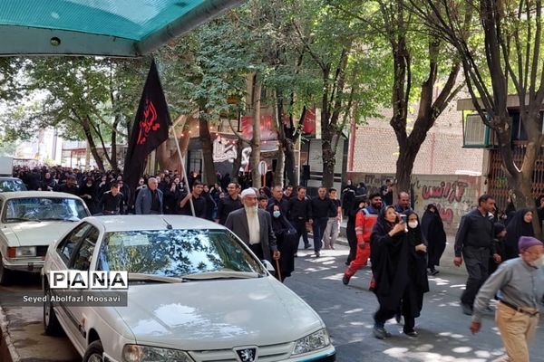 راهپیمایی جاماندگان اربعین حسینی در شهرستان اقلید استان فارس