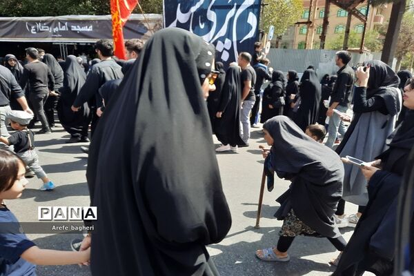 پیاده‌روی اربعین حسینی در جوار حرم مطهر رضوی