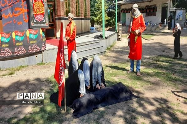 مراسم راهپیمایی جاماندگان اربعین در روستای دارابکلا میاندورود