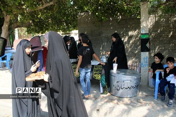 پیاده‌روی دلدادگان اربعین حسینی در بوشهر