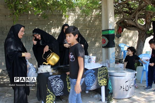 پیاده‌روی دلدادگان اربعین حسینی در بوشهر