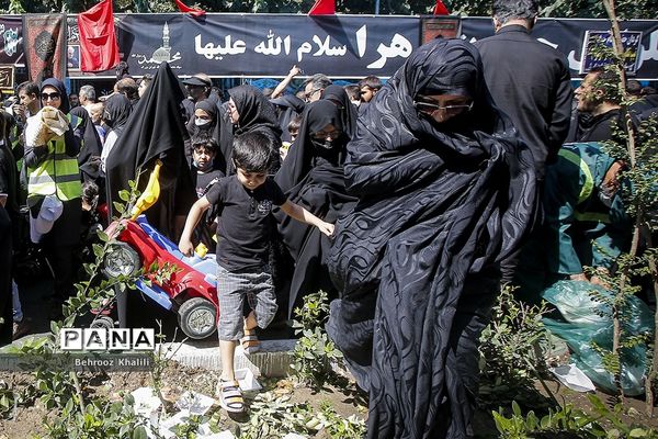 پیاده‌روی جاماندگان اربعین-تهران /2
