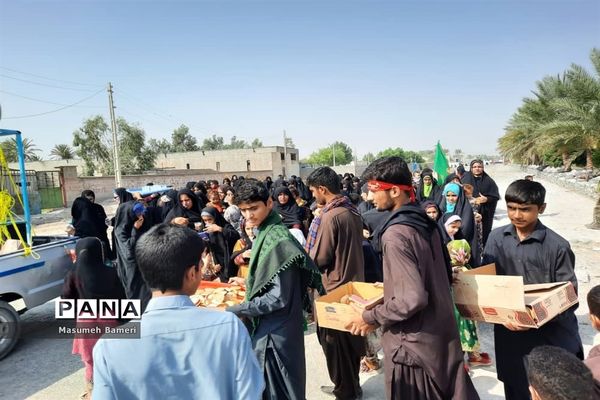 پیاده‌روی جاماندگان اربعین حسینی در دلگان